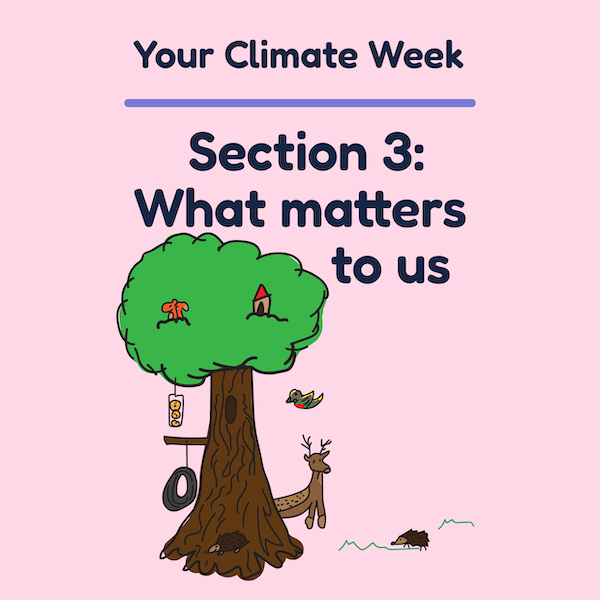 Your Climate Week Section 3